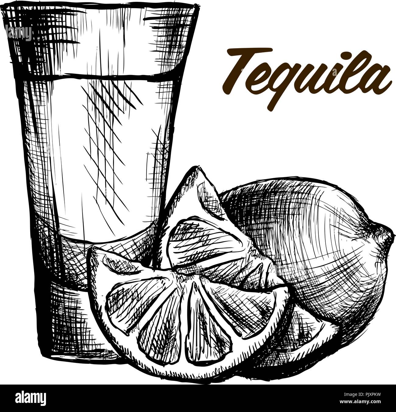 Bottle of tequila with lime and glass. painted by hand Stock Vector