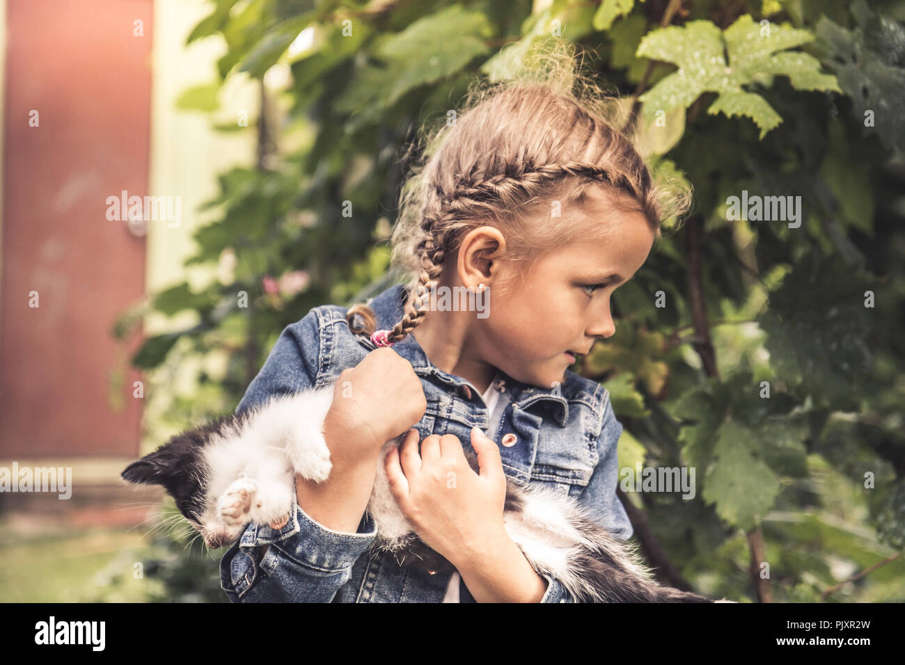 Beautiful  child kid girl playing pet kitty concept animals care Stock Photo