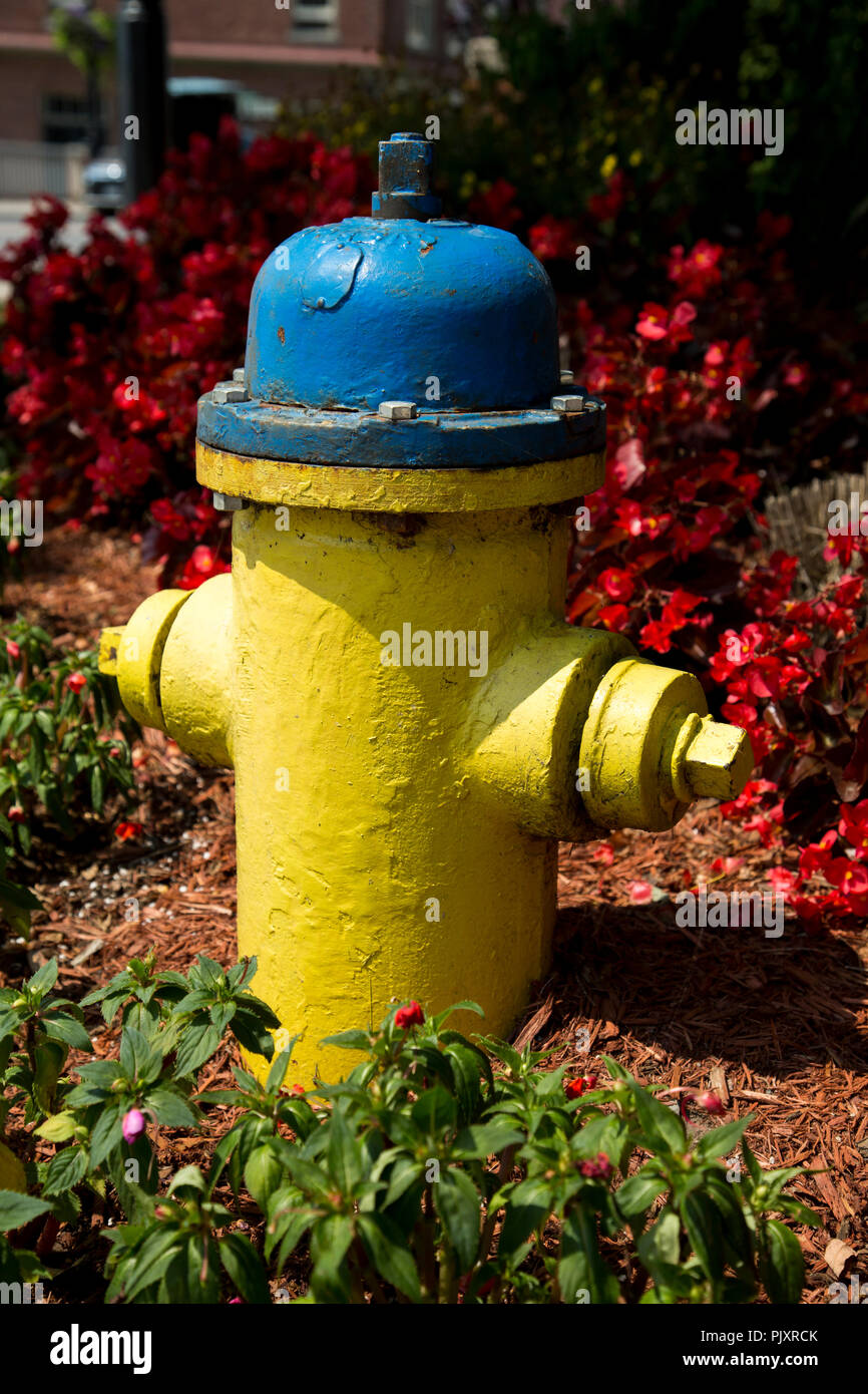 yellow fire hydrant surrrounded by flowers in small town Stock Photo