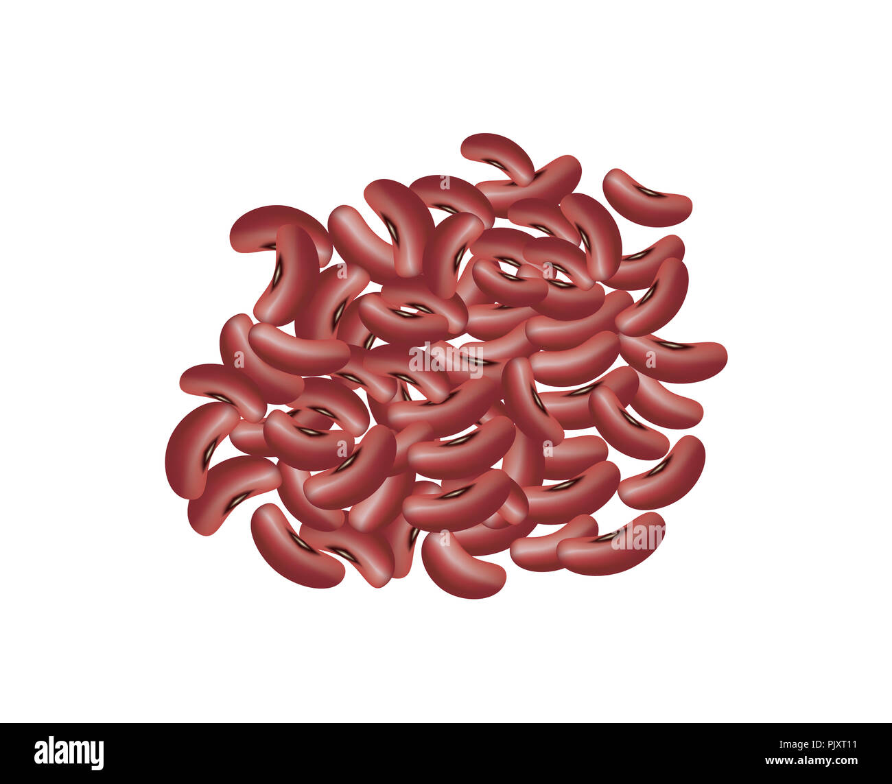 Organic dry red kidney beans on white background Stock Photo Alamy