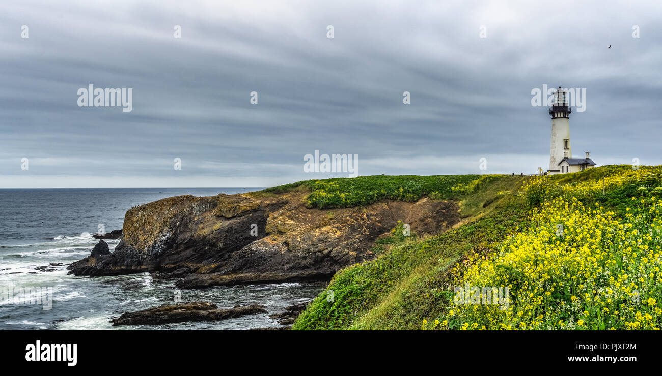 Panoramic landscape Yaquina Head Outstanding Natural Area with its lighthouse and rocky basaltic headlands, Oregon Coast, Newport, USA. Stock Photo