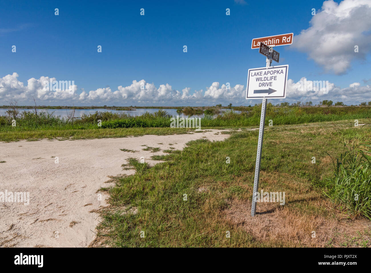 Lake Apopka, Florida Wildlife Drive Stock Photo - Alamy