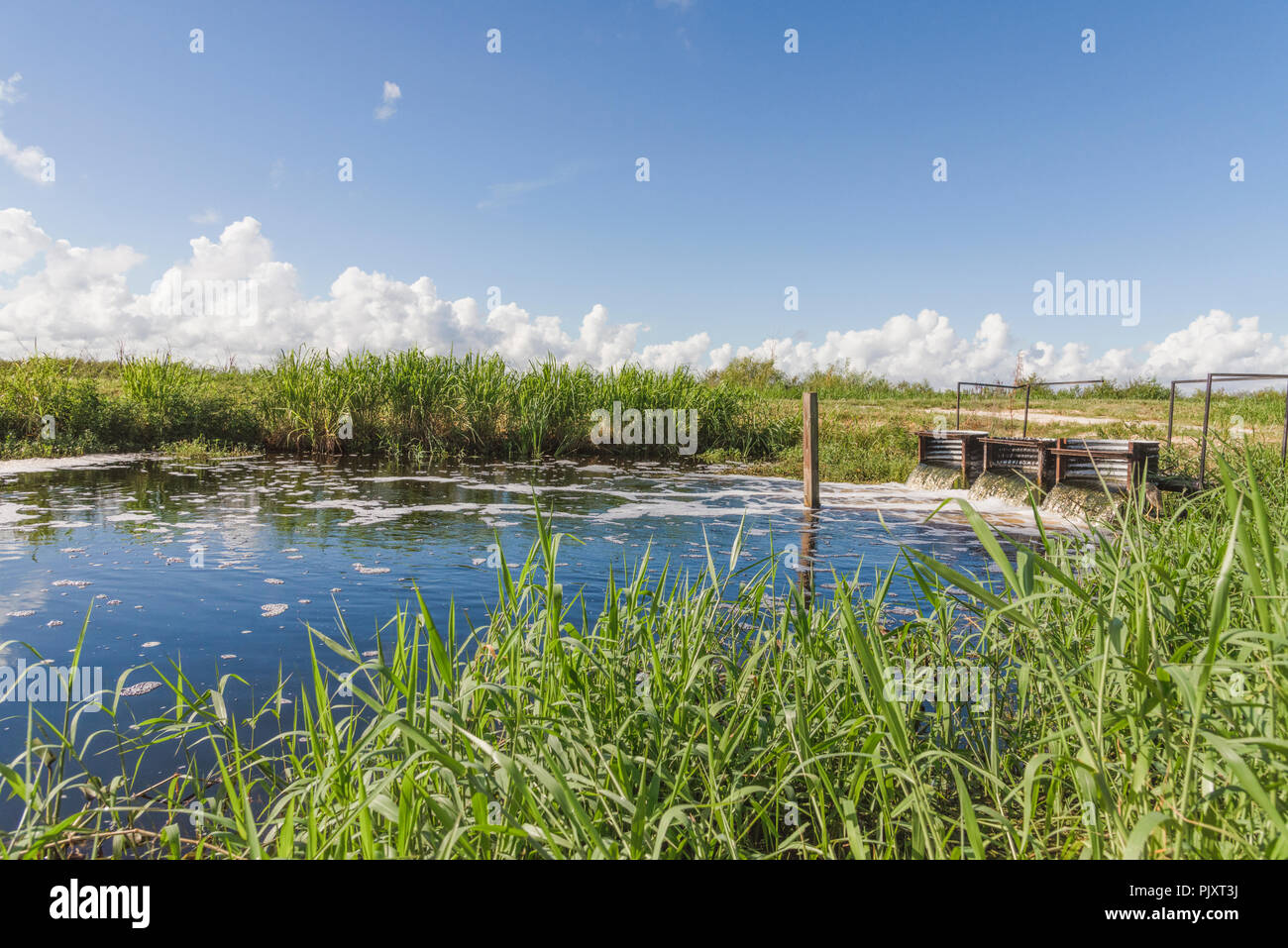 Florida Water Overflow Drainage System Stock Photo