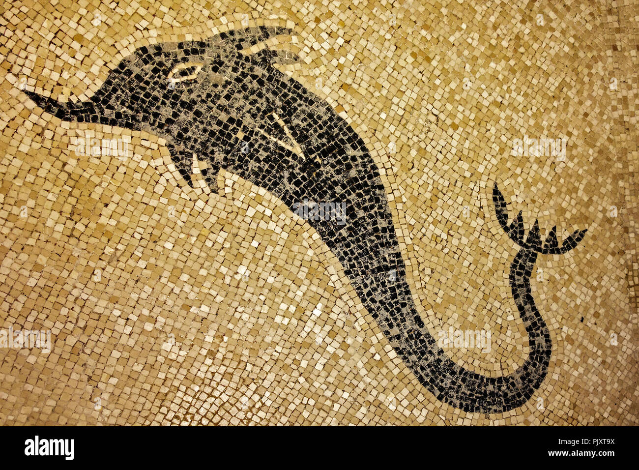 Dolphin Mosaic Herculaneum Campania Italy Stock Photo