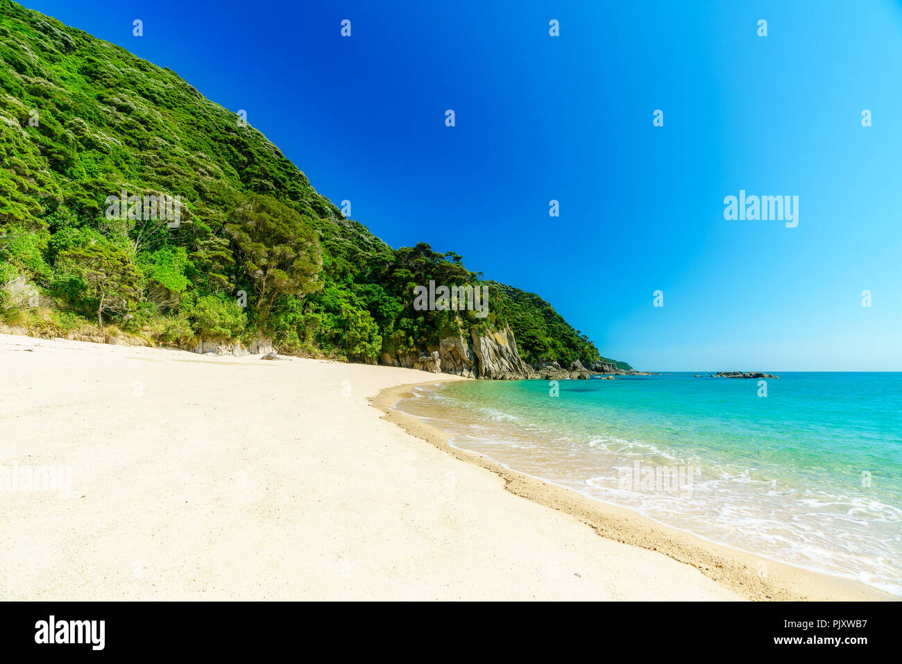 Beautiful Tropical Paradise Beach With Turquoise Water And White Sand In Abel Tasman National Park New Zealand Stock Photo Alamy