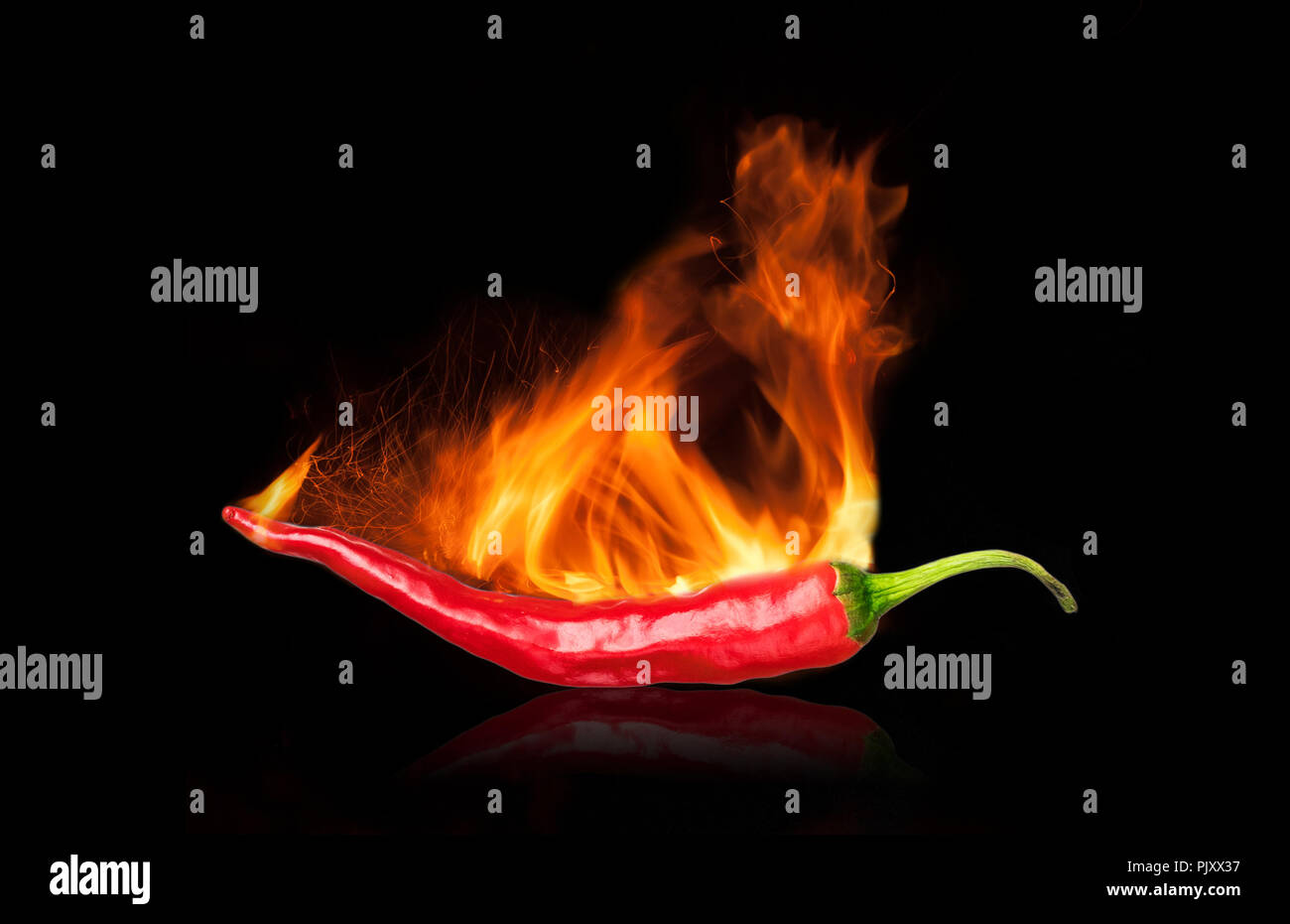 single red chili peppers  with fire on black background Stock Photo