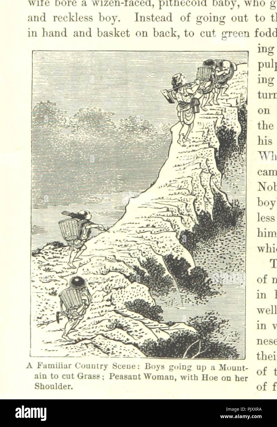 Image  from page 244 of 'The Mikado's Empire. Book I. History of Japan, from 660 B.C to 1872, A.D. Book II. Personal experiences, observations, and studies in Japan, 1870-1874' . Stock Photo