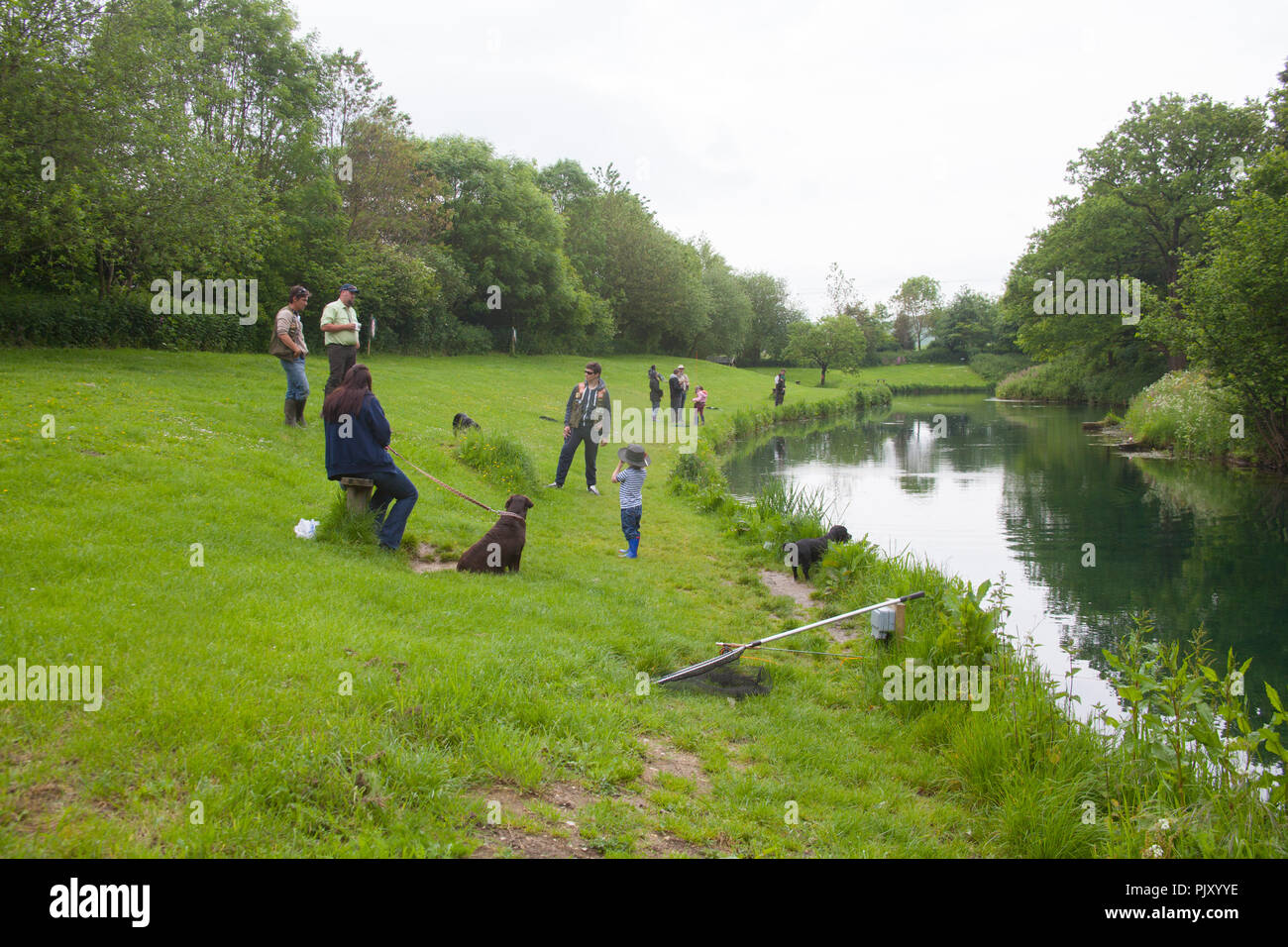 Meon springs trout fishery hires stock photography and images Alamy