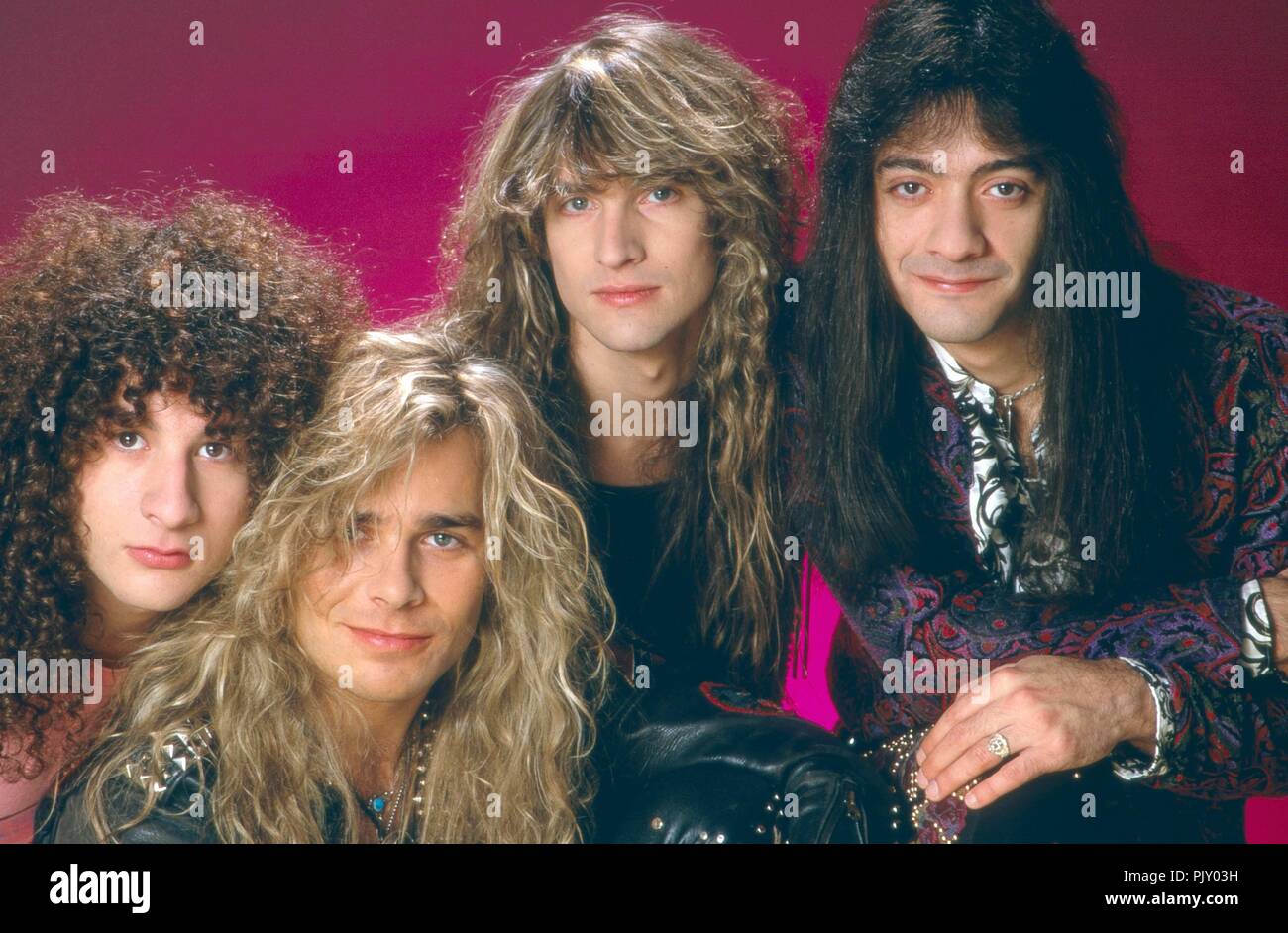 white lion band white lion band