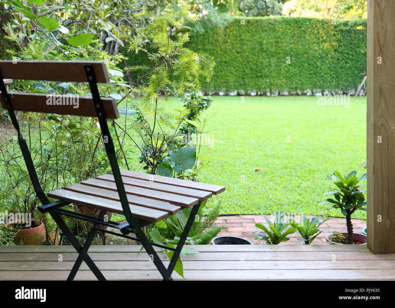 Bright green grass lawn backyard with a wooden chair in foreground ...