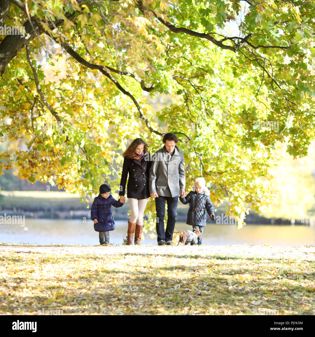 Happy family with two children walking in sunny autumn park holding hands Stock Photo