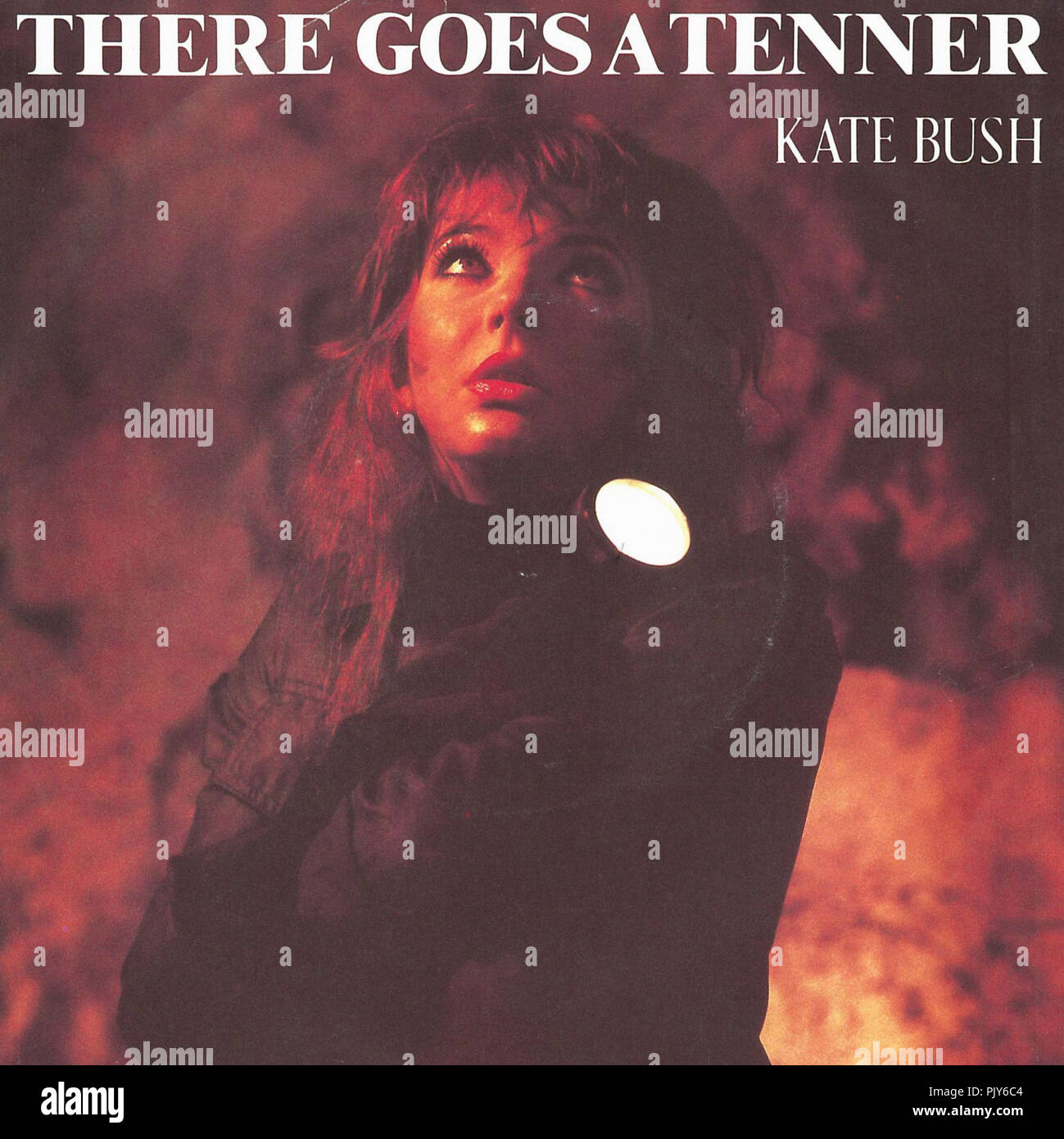 Kate Bush - There Goes A Tenner Stock Photo