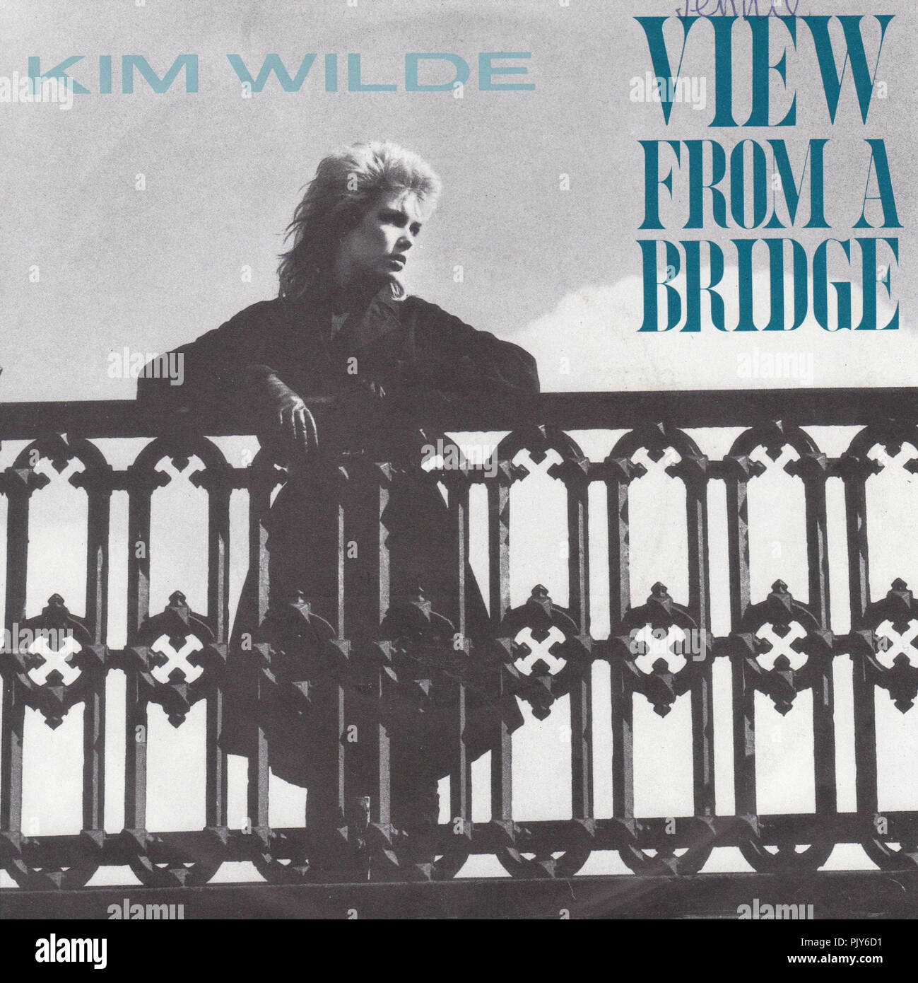 kim wilde view from a bridge