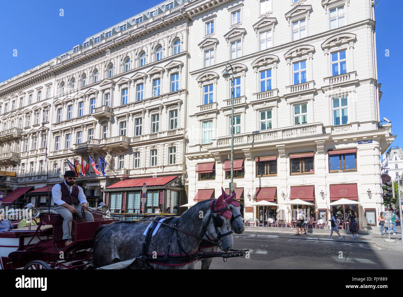 jobbörse stadt wien