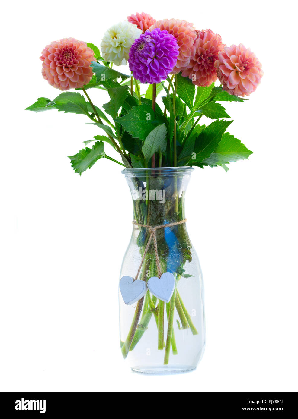 Dahlia flowers bouquet Stock Photo Alamy