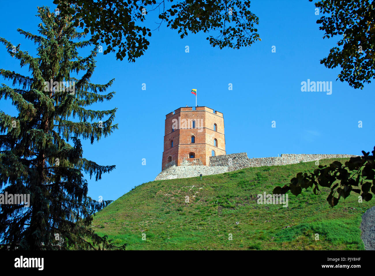 Gediminas' Tower or Castle, the remaining part of the Upper Castle in Vilnius, Lithuania with lithuanian flag waving on a green hill and blue sky Stock Photo