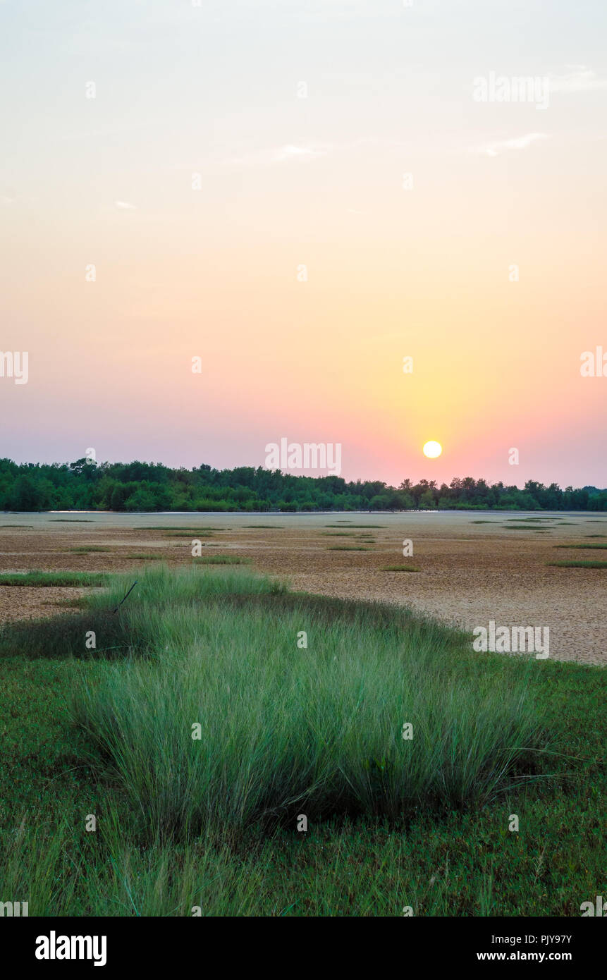 Tranquil sunset over wetland with green grass in rural area of Guinea Bissau, Africa. Stock Photo