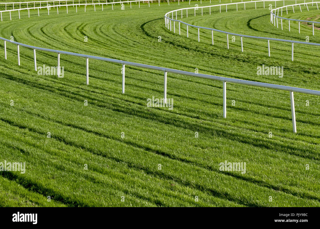 Lush green vibrant grass and railing bend of a race horse track Stock