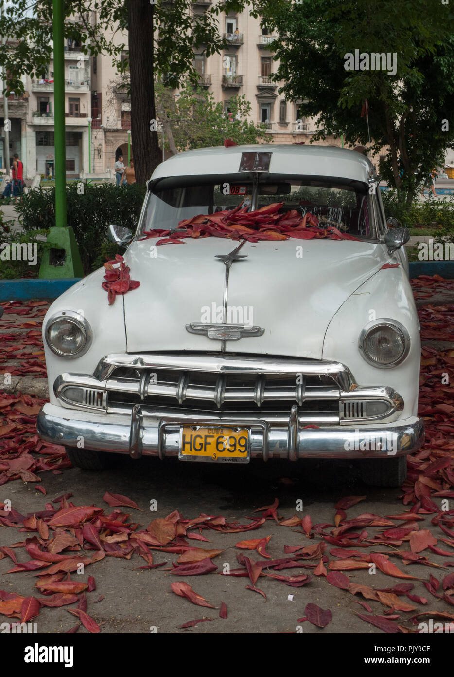 Old car in Havana Cuba Stock Photo