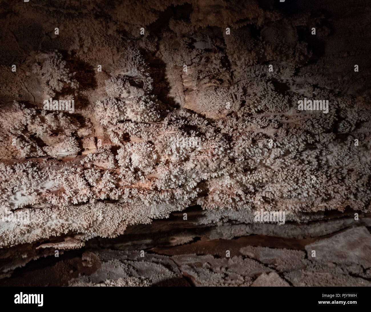 Crystals Grow on Wall of Wind Cave Stock Photo Alamy