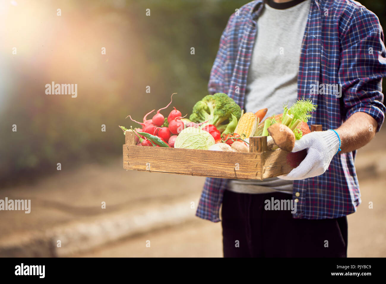 Farmers hands holding wooden box with different vegetables Stock Photo ...