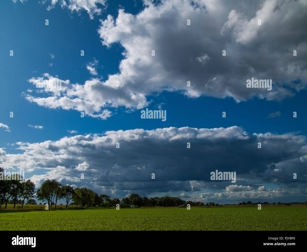 Dramatic sky over the Elbmarsch, Niedersachsen, Germany. Stock Photo