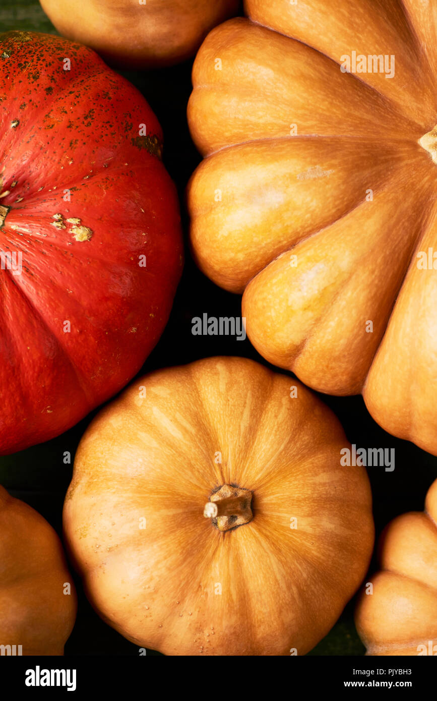 A lot of fresh raw orange colorful pumpkins, top view Stock Photo - Alamy