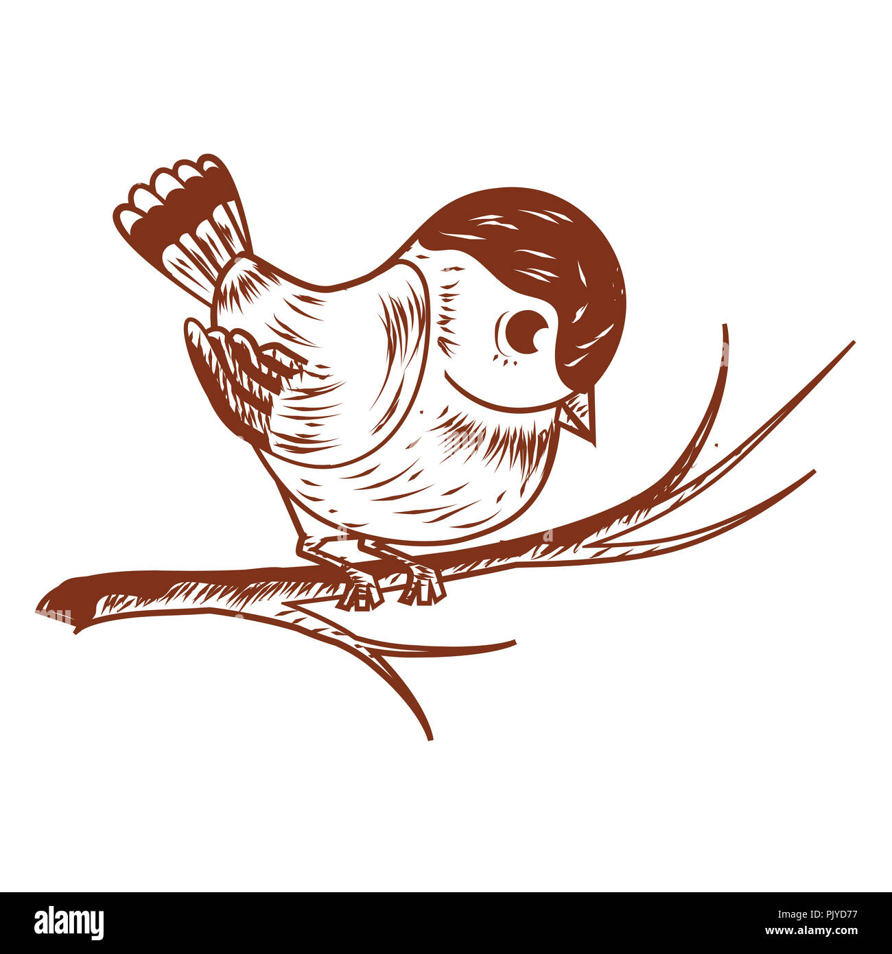 Beautiful Vintage Bird Perched on a Tree Branch Outline Vector Illustration in hand drawing sketch Stock Photo