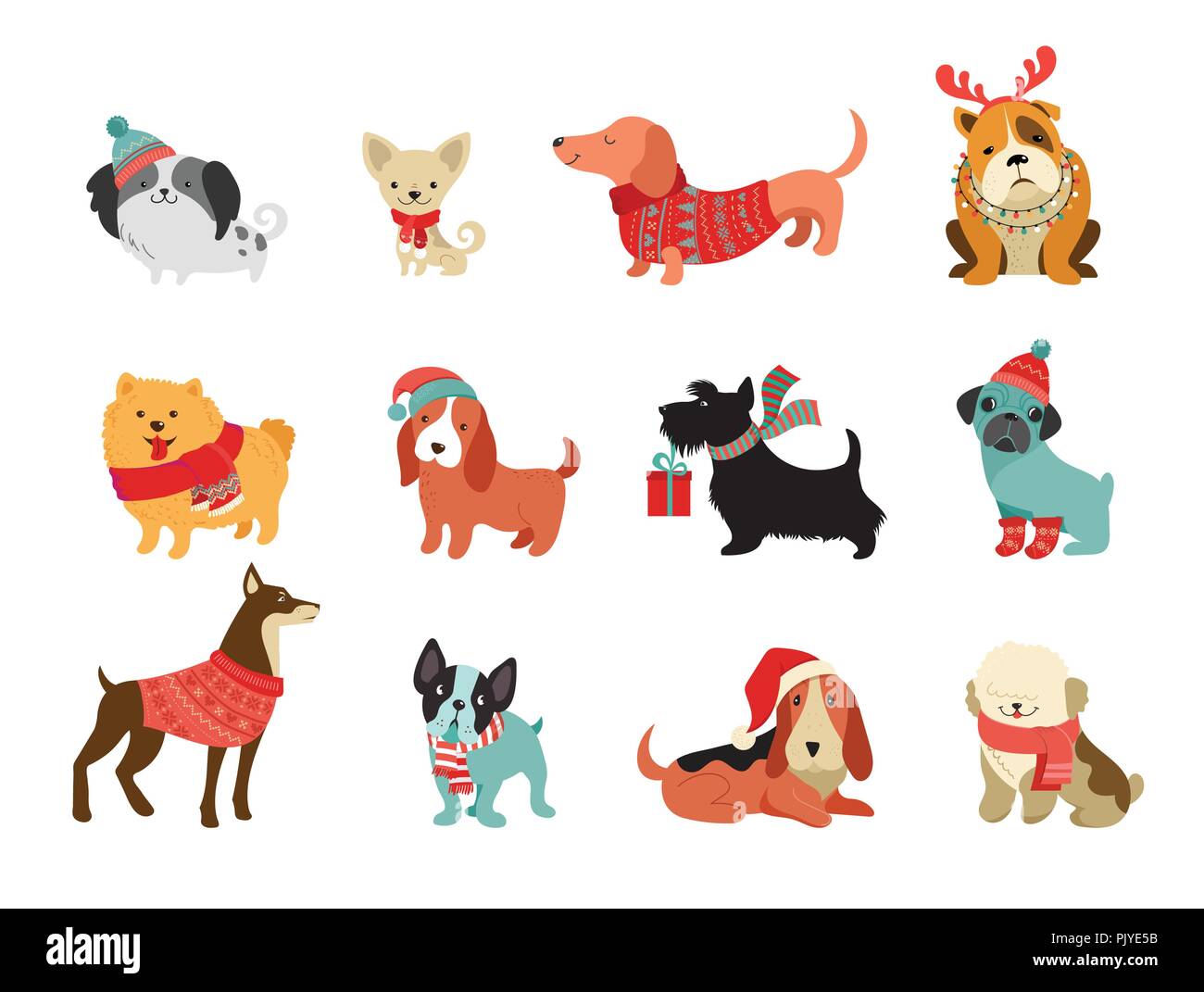 Collection of Christmas dogs, Merry Christmas illustrations of cute pets with accessories like a knited hats, sweaters, scarfs Stock Vector