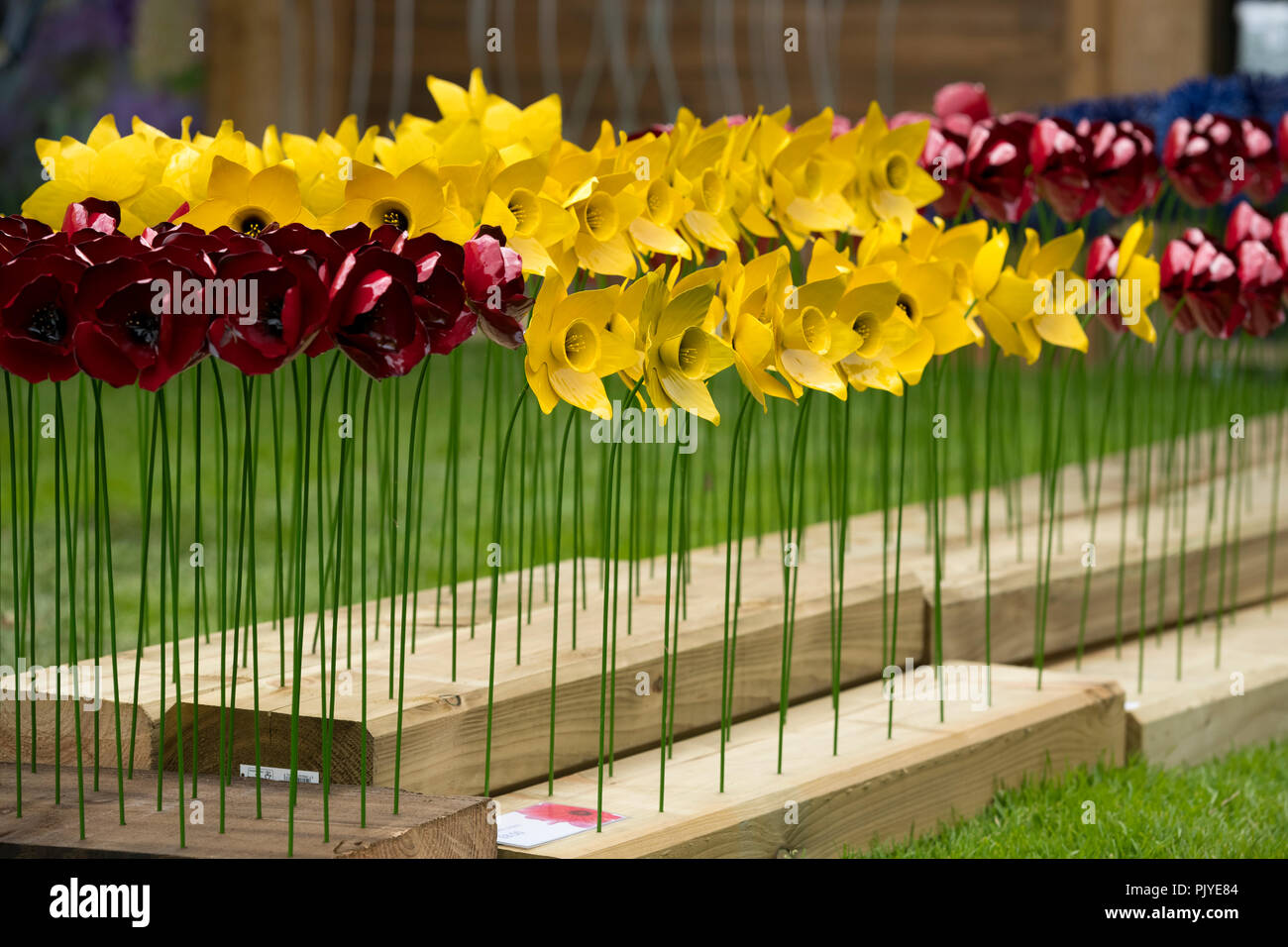 Rows of bright colourful metal daffodils & poppies in close-up (garden stakes display) for sale at RHS Chatsworth Flower Show, Derbyshire, England, UK Stock Photo