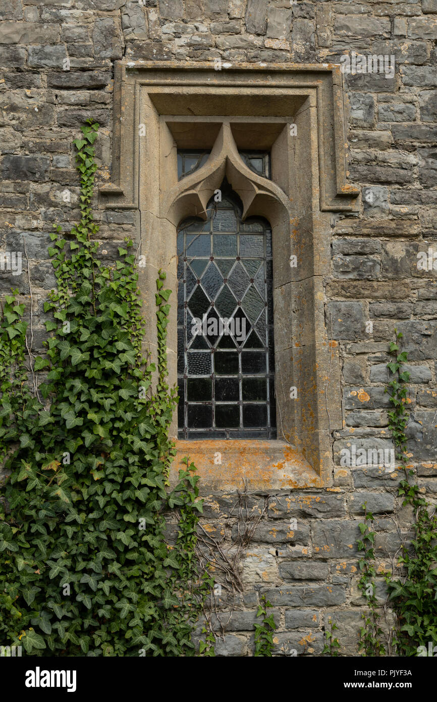 Overgrown window with stone mouldings, St Nicholas Church, Lavernock Point, Glamorgan, Wales, UK Stock Photo