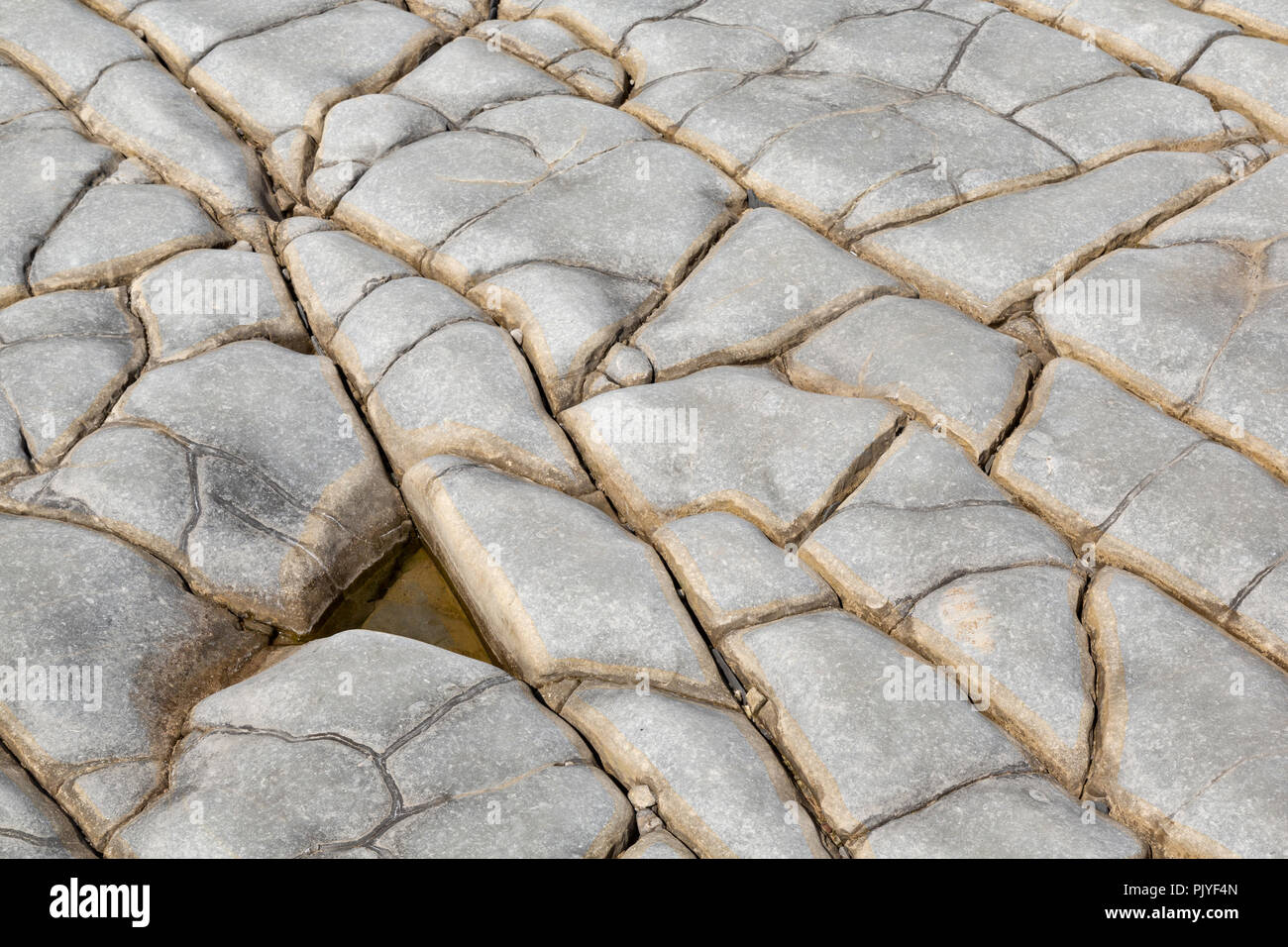 Limestone pavement formation on the foreshore of Lavernock Point, Glamorgan, Wales, UK Stock Photo