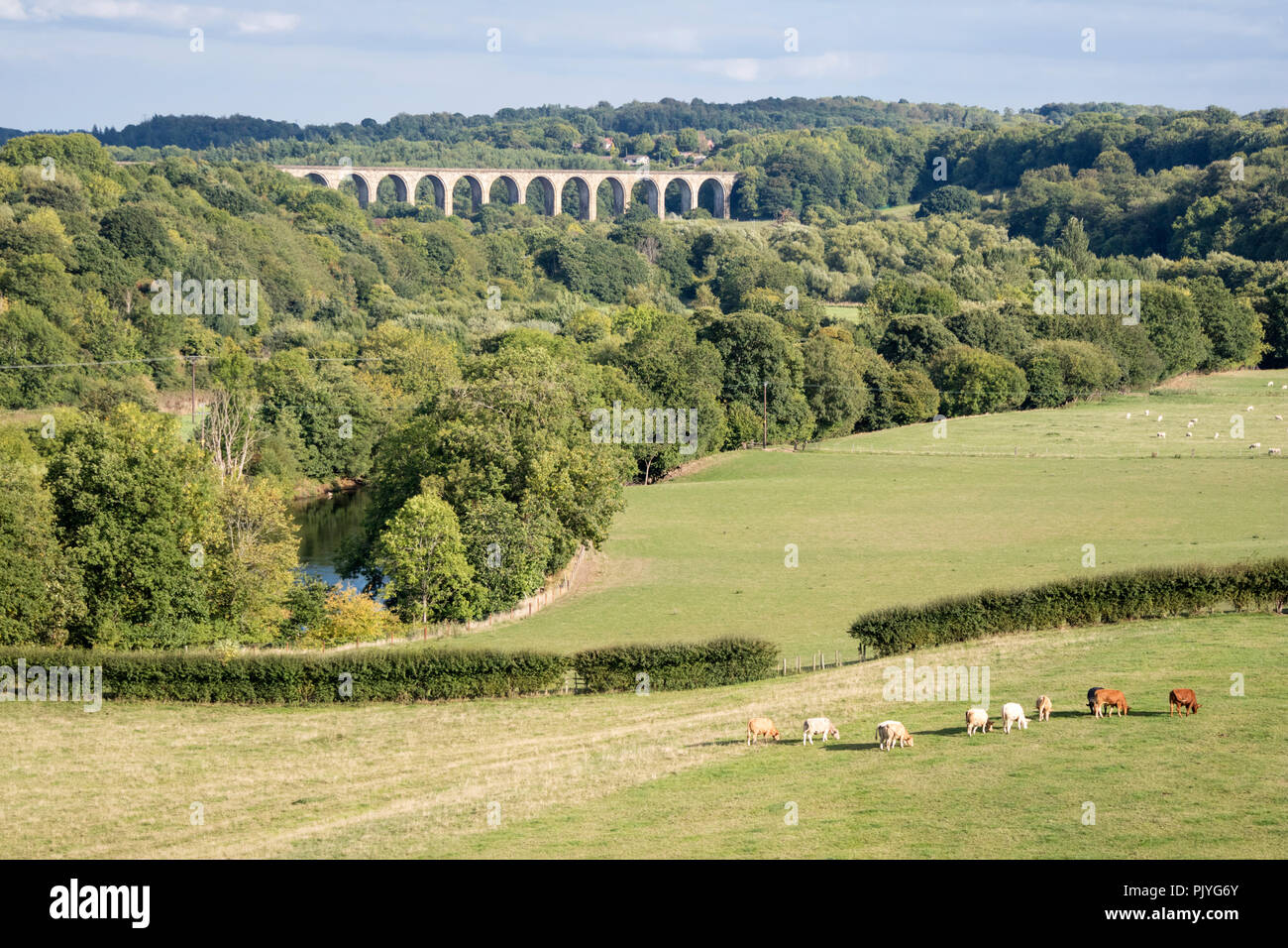 The Cefn Viaduct on the the Chester and Shrewsbury railway line ...