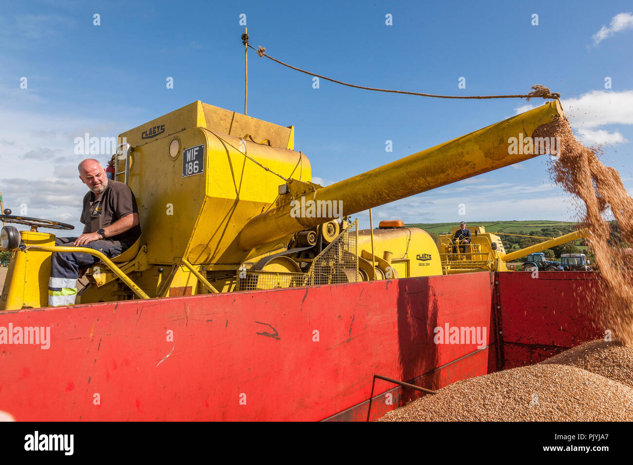Timoleague, Cork, Ireland. 9th September 2018. JJ Browne from Carrigadrohid empting Wheat from his vintage Claeys Combine harvester into a trailer at the West Cork Vintage Ploughing & Threshing event that was held at Barryshall Timoleague Co.Cork. Credit: David Creedon/Alamy Live News Stock Photo