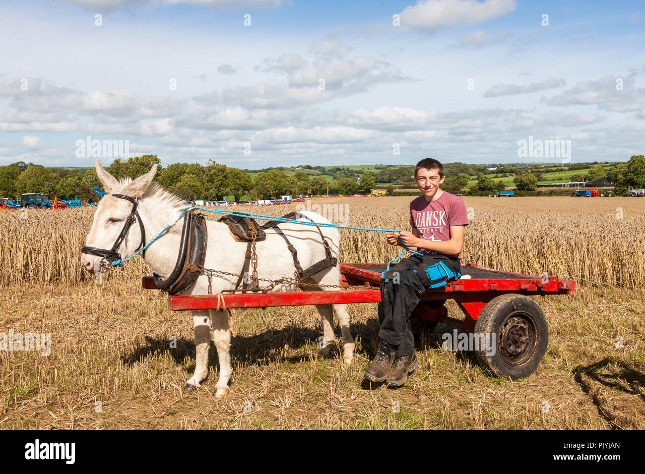 Timoleague, Cork, Ireland. 9th September 2018.James Jennings from Clonakilty with his donkey and cart at the West Cork Vintage Ploughing & Threshing event that was held at Barryshall Timoleague Co.Cork. Credit: David Creedon/Alamy Live News Stock Photo
