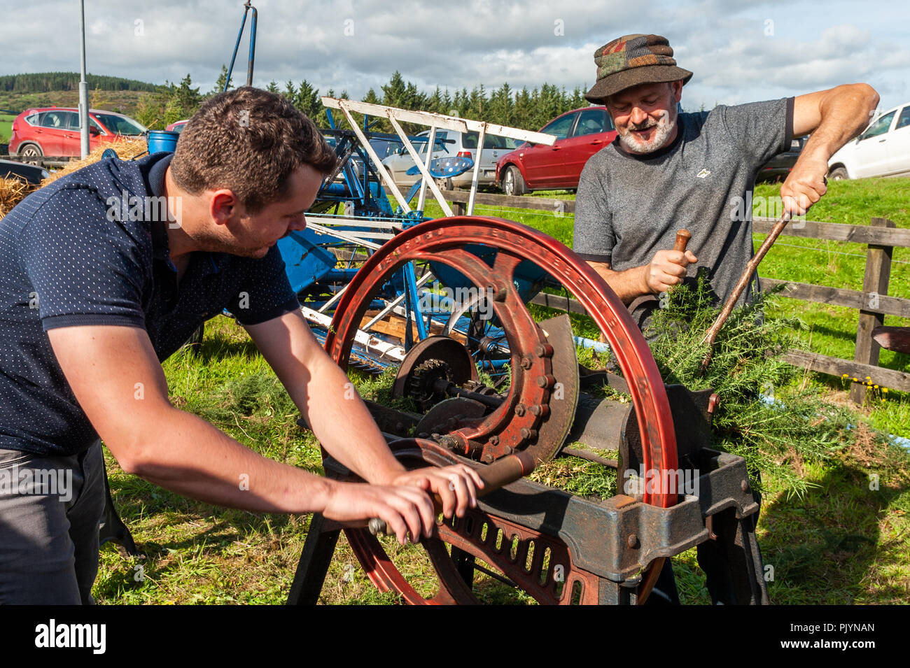 Dunmanway, West Cork, Ireland. 9th Sept, 2018. As part of the Sam Maguire weekend, a threshing event was held at Malabracka, the Sam Maguire Homestead. Demonstrating Furze cutting for horse feed were Jerry Brennan and Denis Murphy from Dunmanway. Credit: Andy Gibson/Alamy Live News. Stock Photo