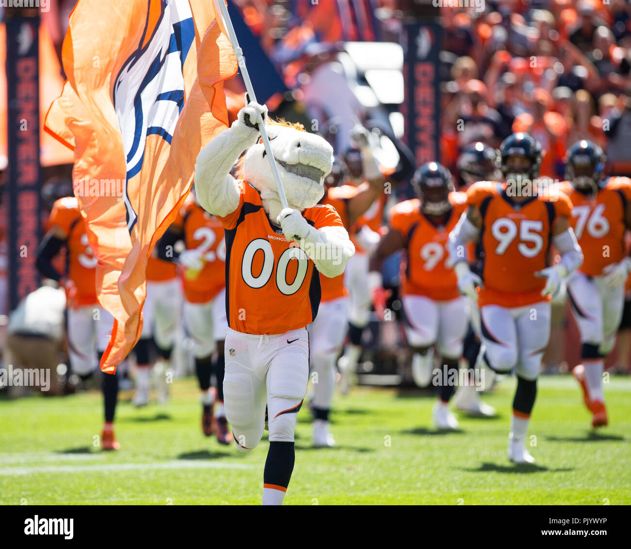 Denver, USA. September 09, 2018: Denver Broncos mascot Miles leading the  team onto the field during opening ceremonies of an NFL matchup between the Seattle  Seahawks and the Denver Broncos at Broncos