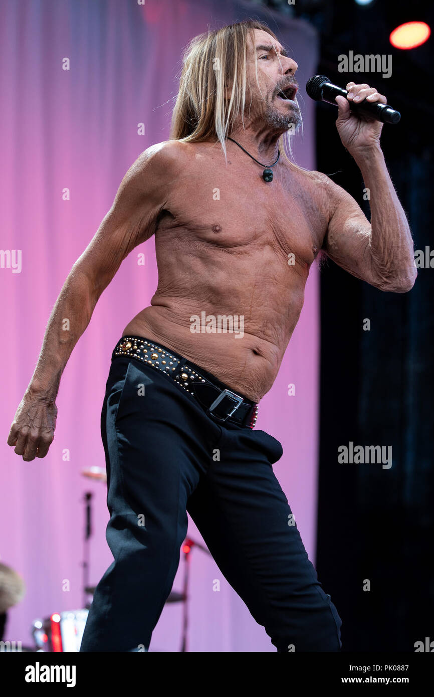 Way Out West Festival - Day 1 - Performances Featuring: Iggy Pop Where: Gothenburg, Sweden When: 09 Credit: Emelie Andersson/WENN.com Stock Photo - Alamy