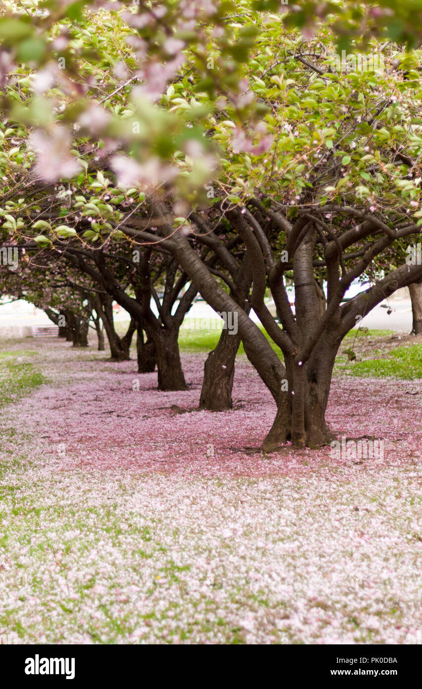 Windy corner hires stock photography and images Alamy