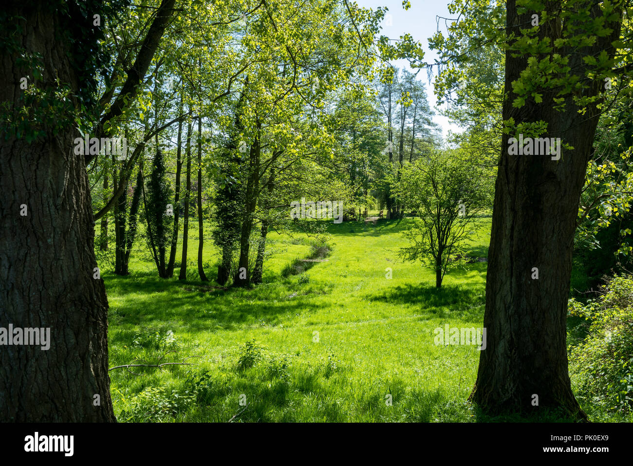 Shalford Mill, Guildford Stock Photo Alamy