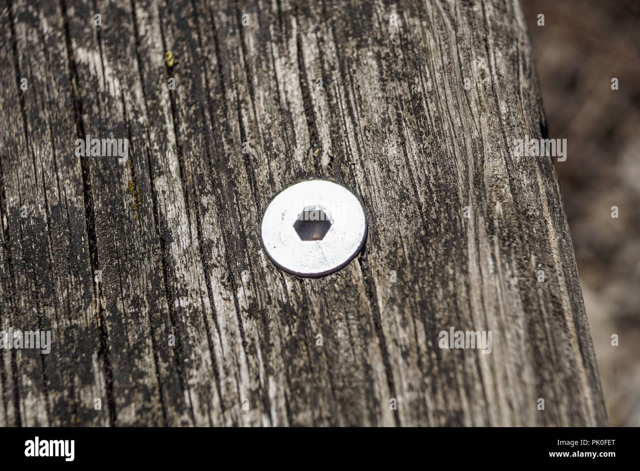 Close up from a rusty square head bolts Stock Photo