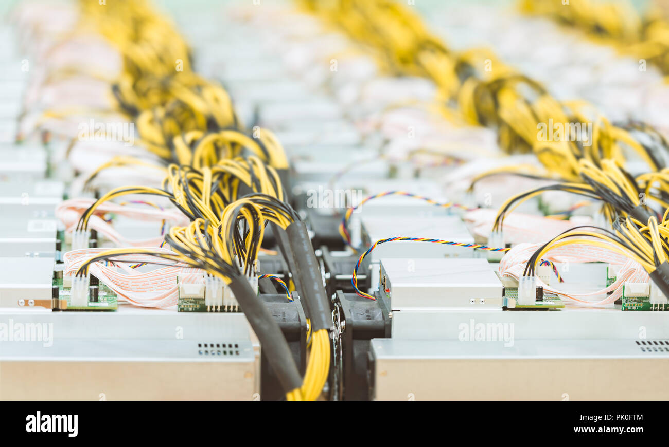 Rows of dedicated ASIC for cryptocurrency mining farm. Bitcoin, Ethereum  and other altcoins producing rig Stock Photo - Alamy