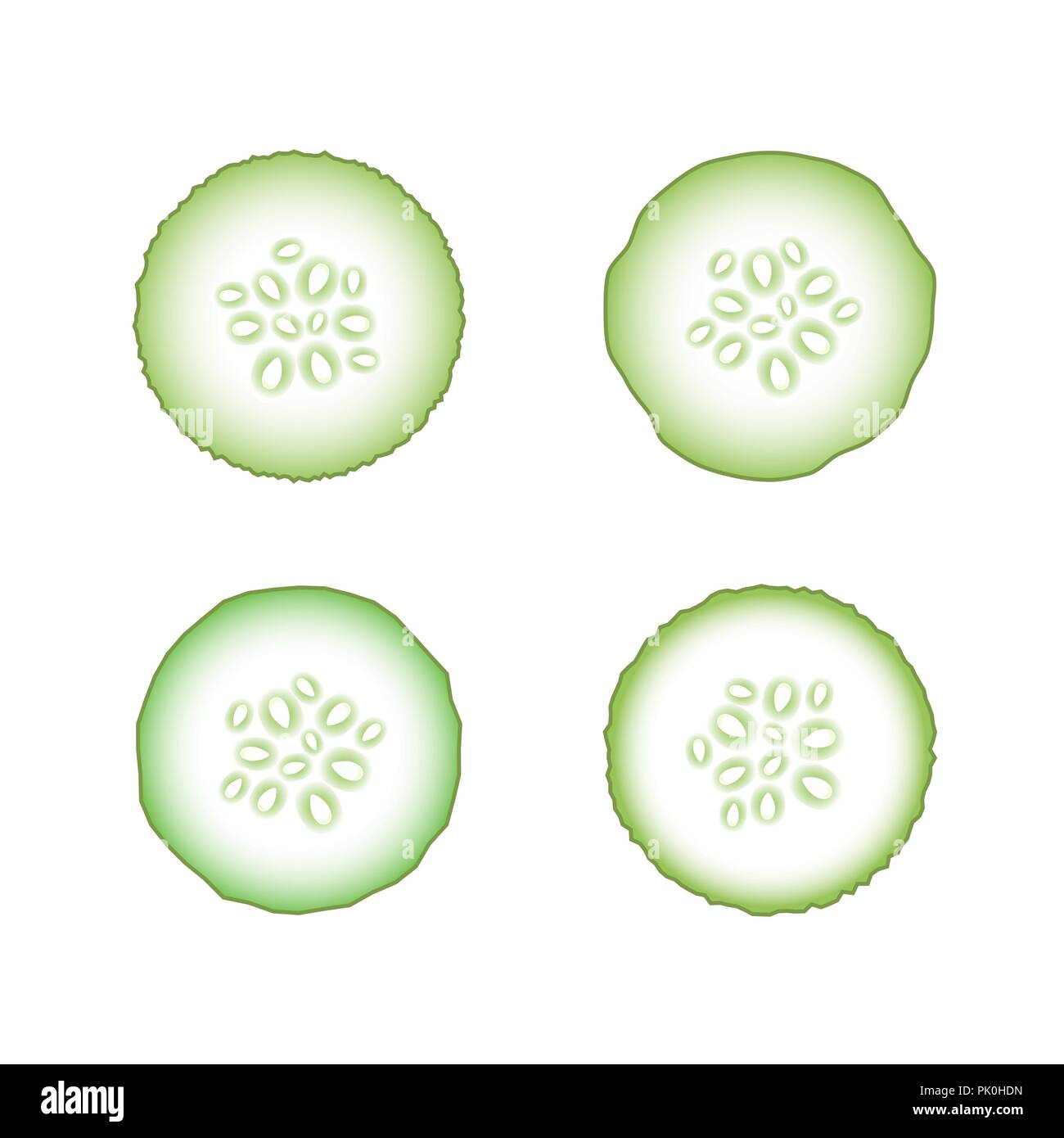 Set of Fresh Green Cucumbers Stock Vector