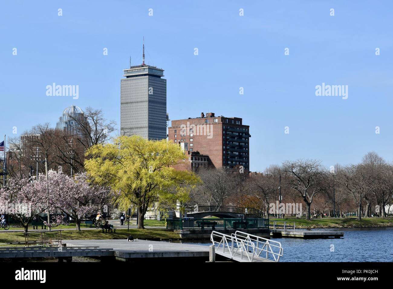 Spring Cherry Blossoms in Boston, Massachusetts, USA Stock Photo - Alamy
