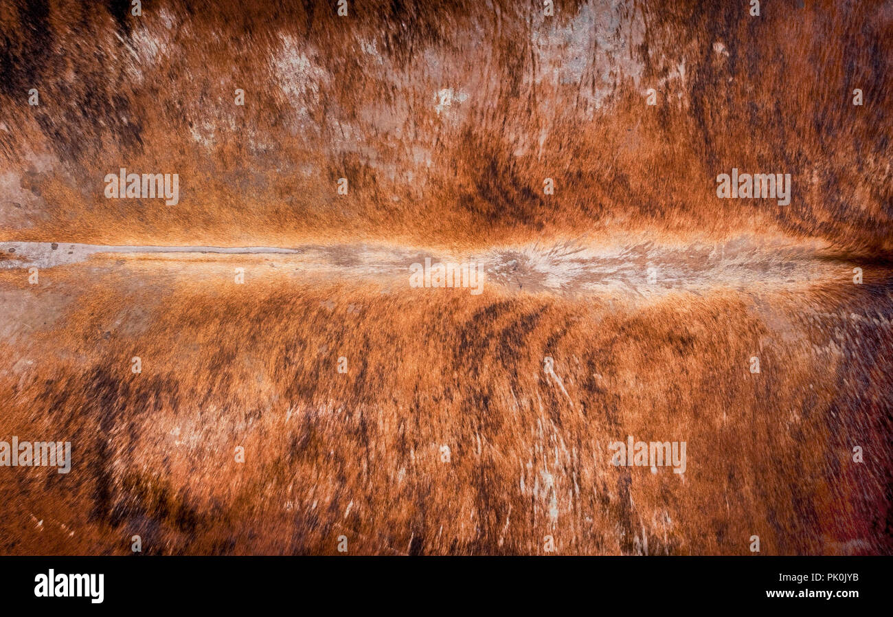 Cowhide background pattern will make for cool backdrop. Stock Photo