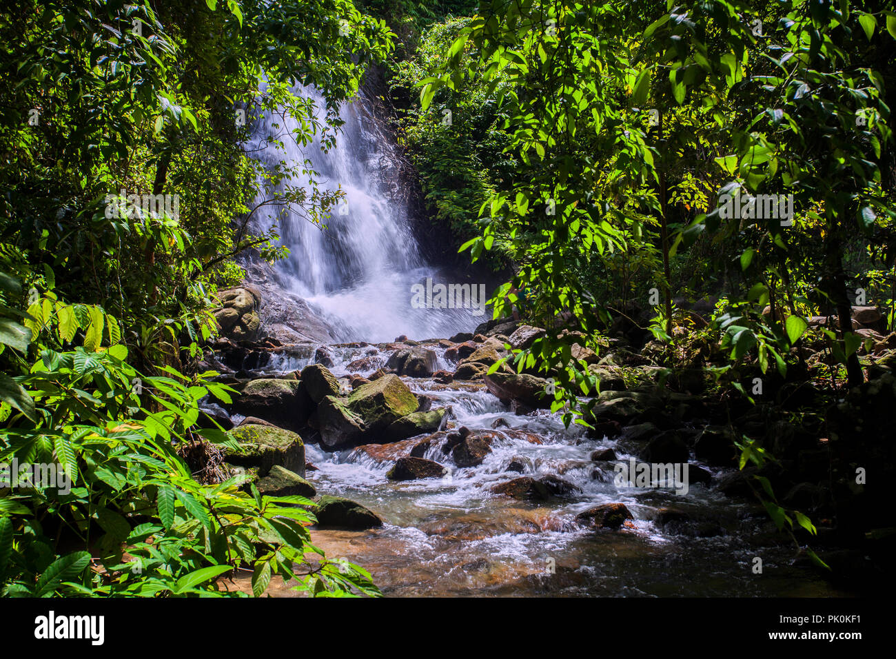 Tropical waterfall in the forest,Ton Chong Fa in khao lak Phangnga South of  Thailand Stock Photo - Alamy