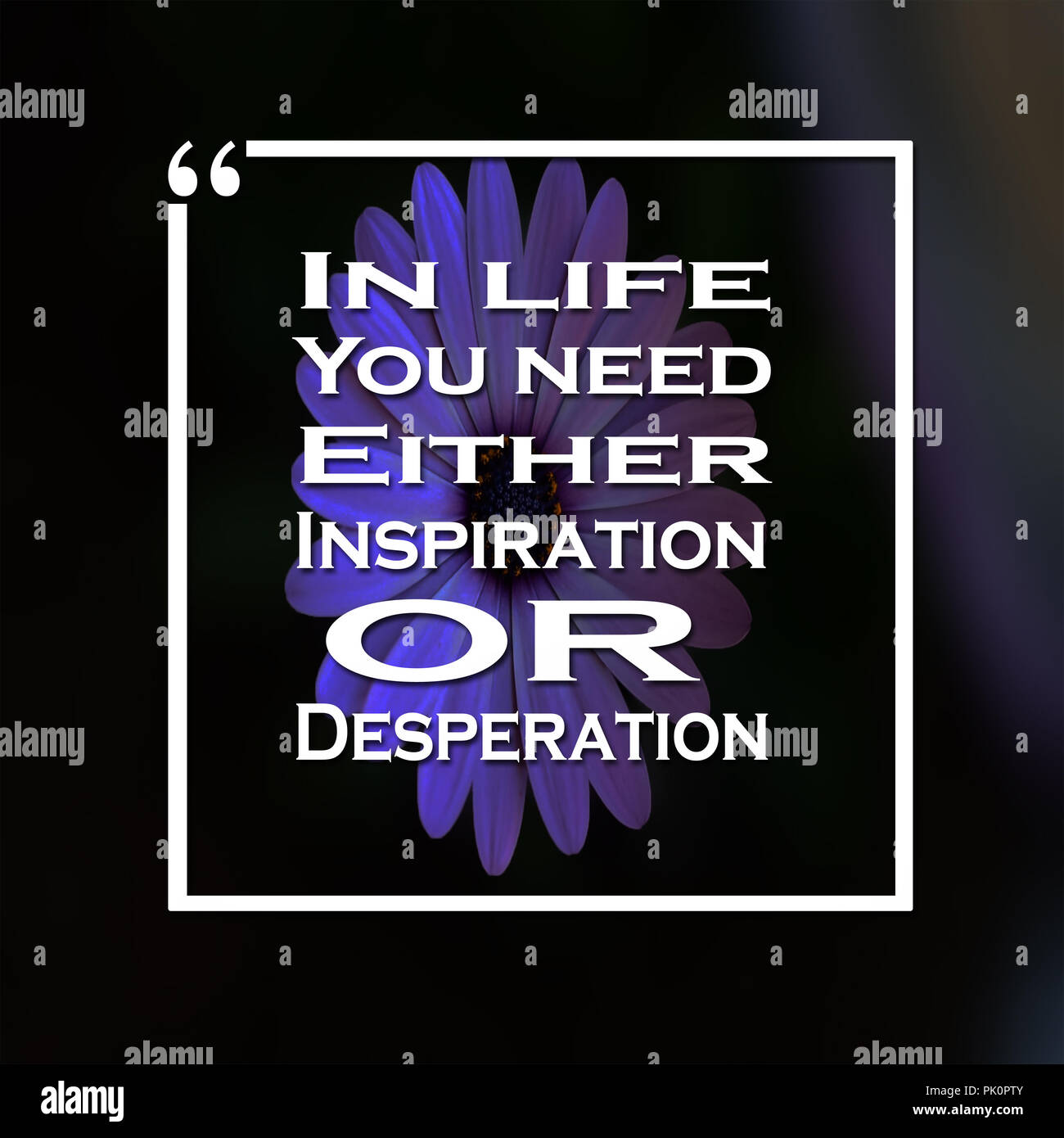Inspirational Quotes In life you need either inspiration or ...
