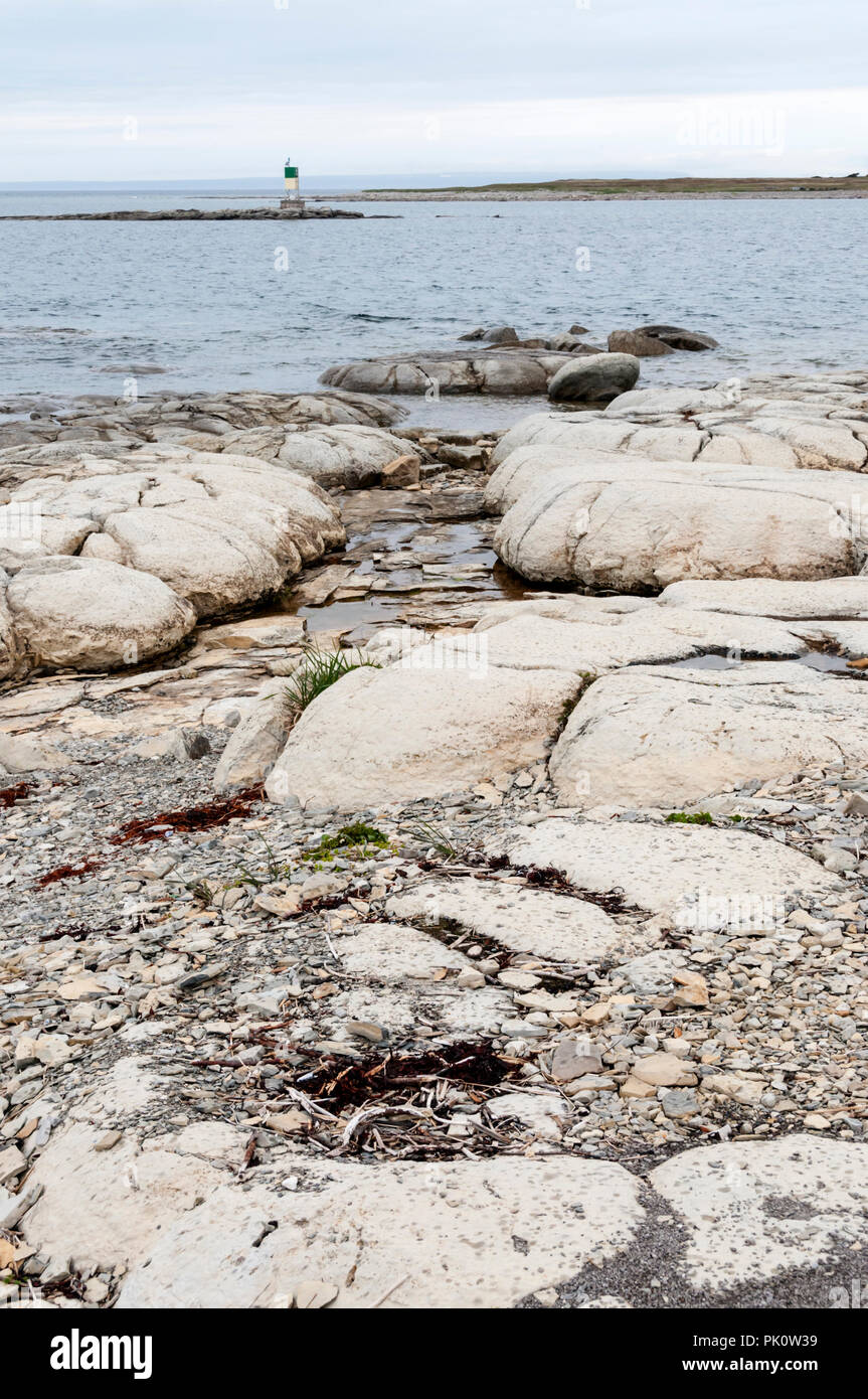 Thrombolites on the shore at Flowers Cove, Newfoundland Stock Photo