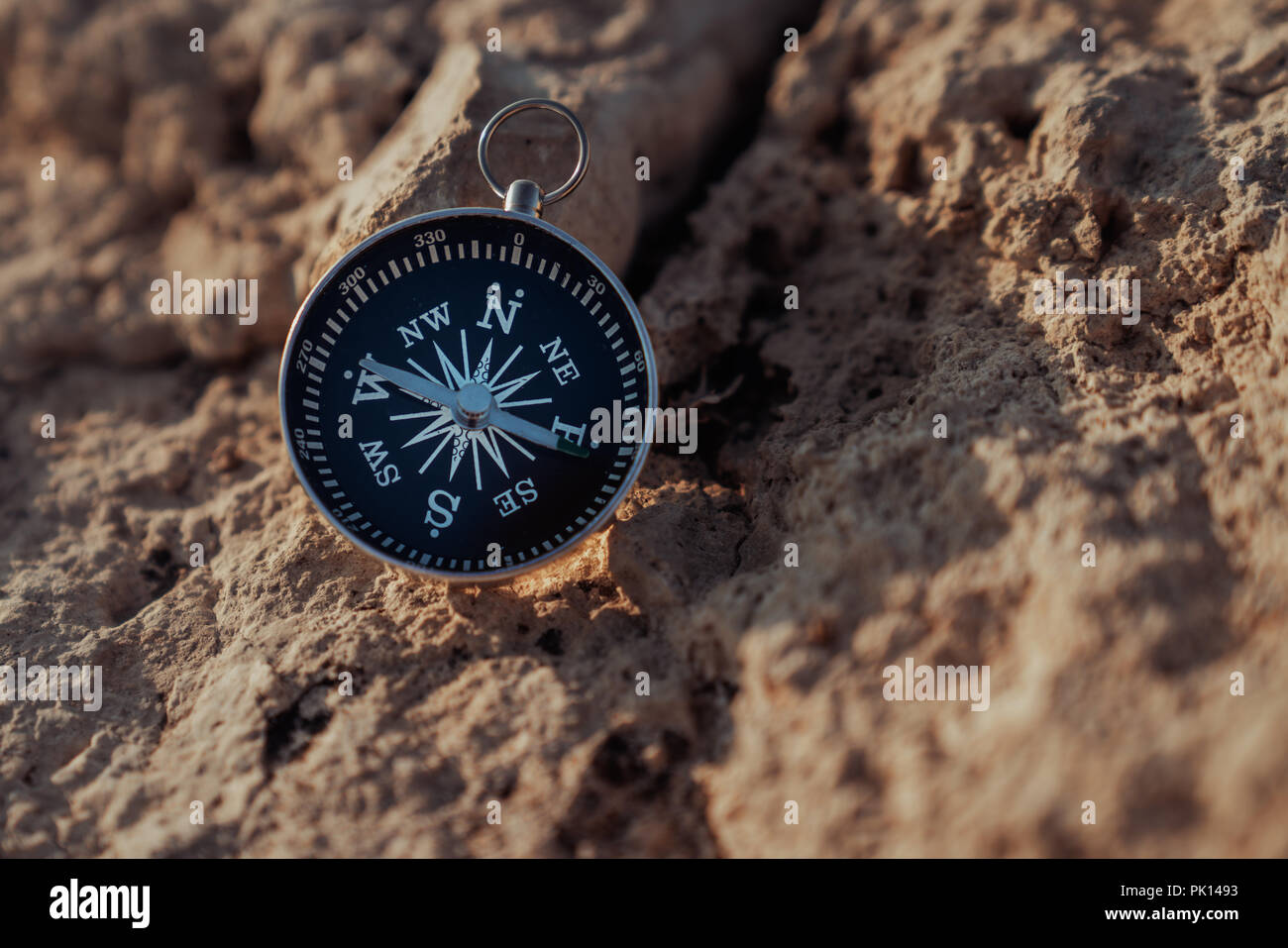 Online compass direction Royalty Free Vector Image