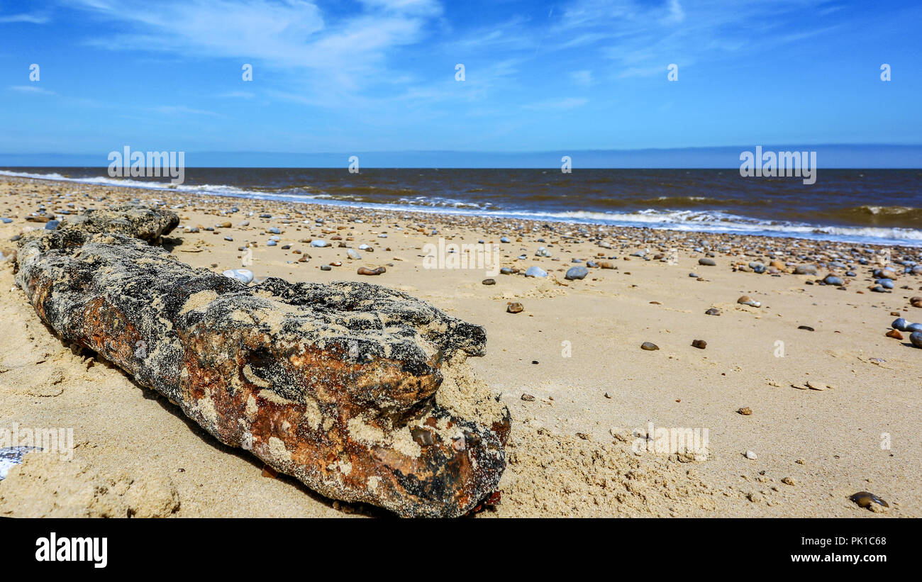 Driftwood On The Beach Stock Photo